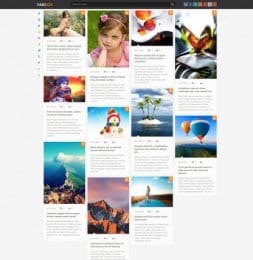 Fanbox - DLE 11.2