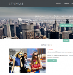 City Skyline Resposive - DLE 10.2