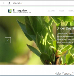 Enterprise - DLE 11.2