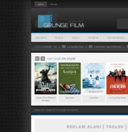 Grunge Film (5 Renk) - DLE 10.2