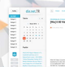 MirSaitov - DLE 10.2